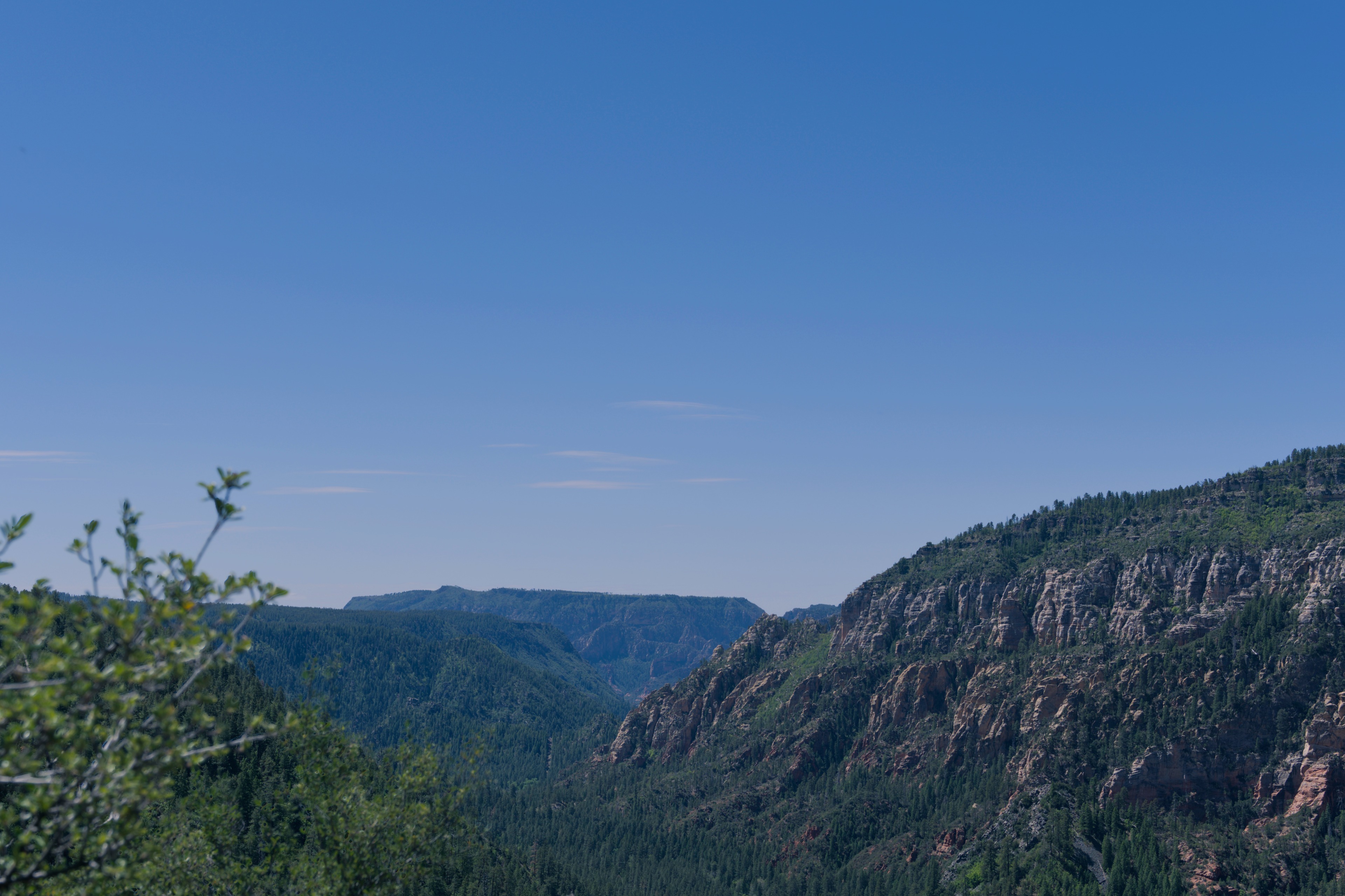 Forested red-rock walls of Oak Creek Canyon viewed from above under a deep blue sky