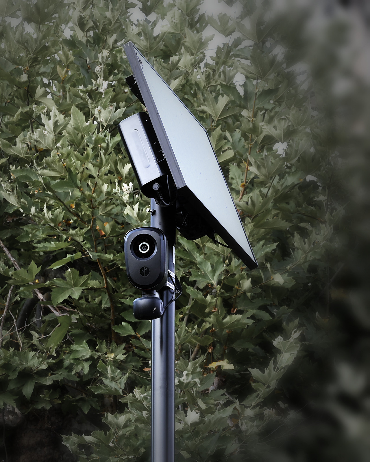 A solar-powered Flock automated license-plate-reader camera on a pole at dusk, its lens facing the viewer like an eye against dark, blurred foliage
